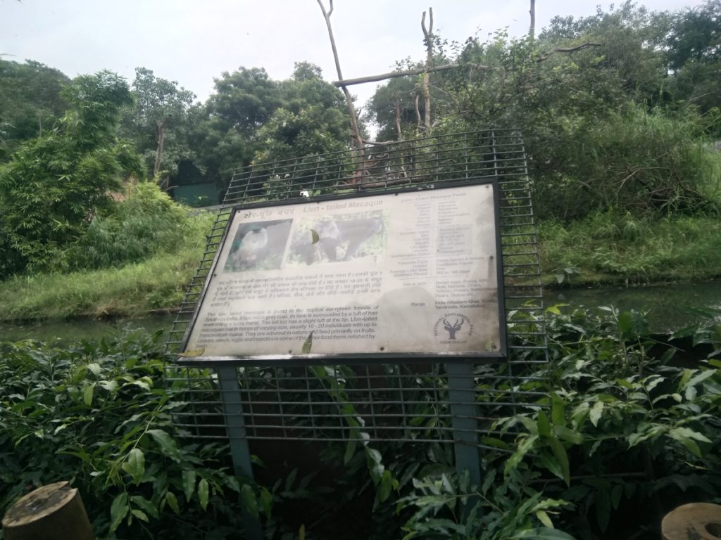 Tailed Macaque in Chidiya Ghar Delhi