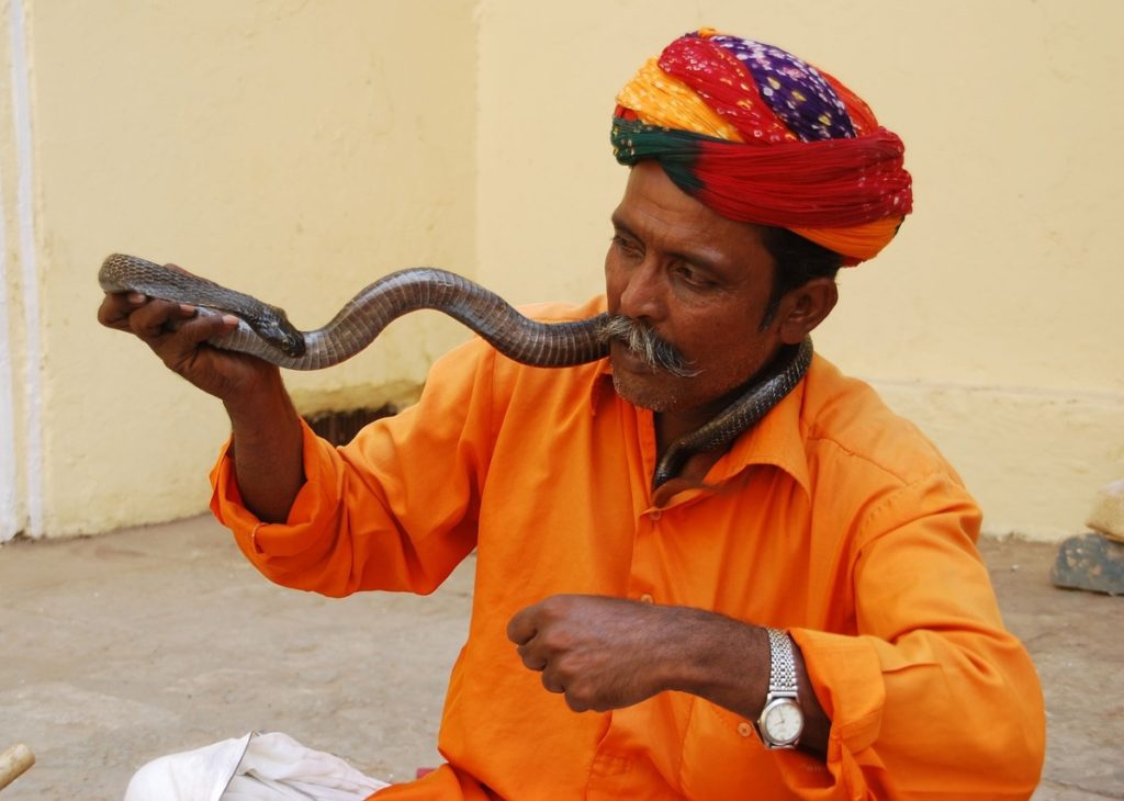  Snake Charmers, Puppet Shows at Pushkar Fair